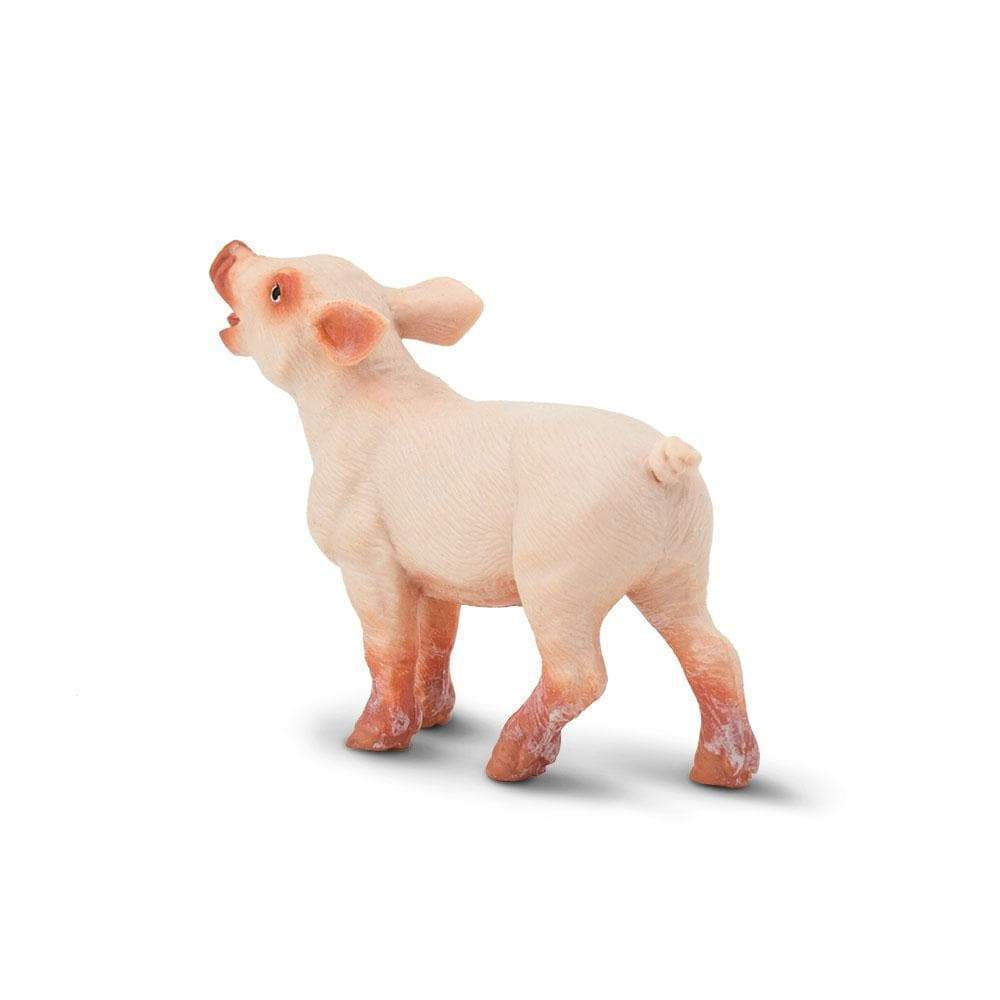 Piglet Toy | Farm | Safari Ltd®