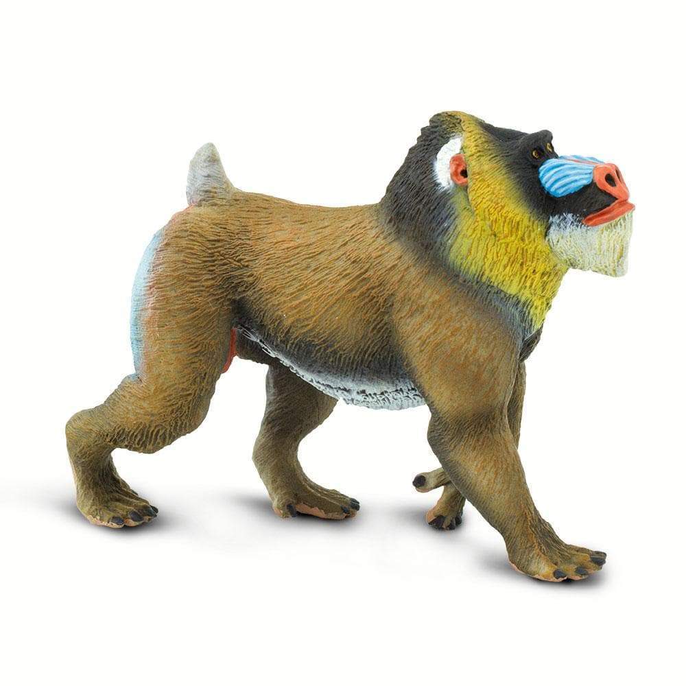 Mandrill Toy | Wildlife Animal Toys | Safari Ltd®
