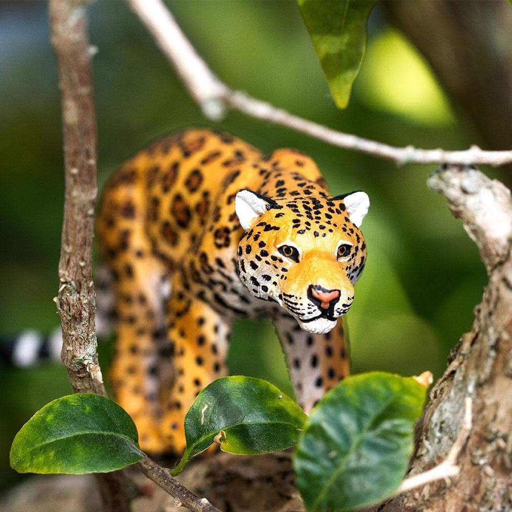 Jaguar Toy | Wildlife Animal Toys | Safari Ltd®