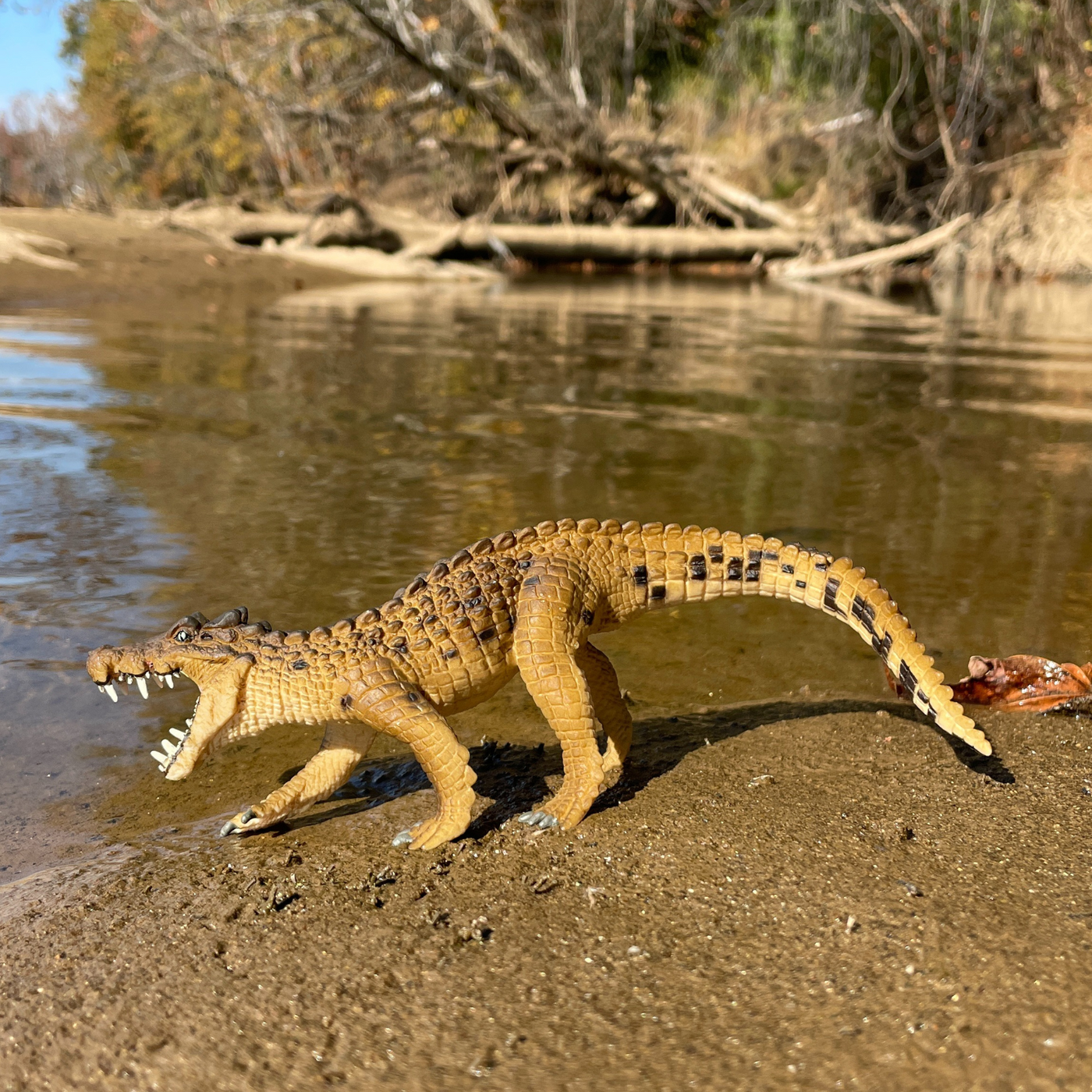 Kaprosuchus Toy | Dinosaur Toys | Safari Ltd®