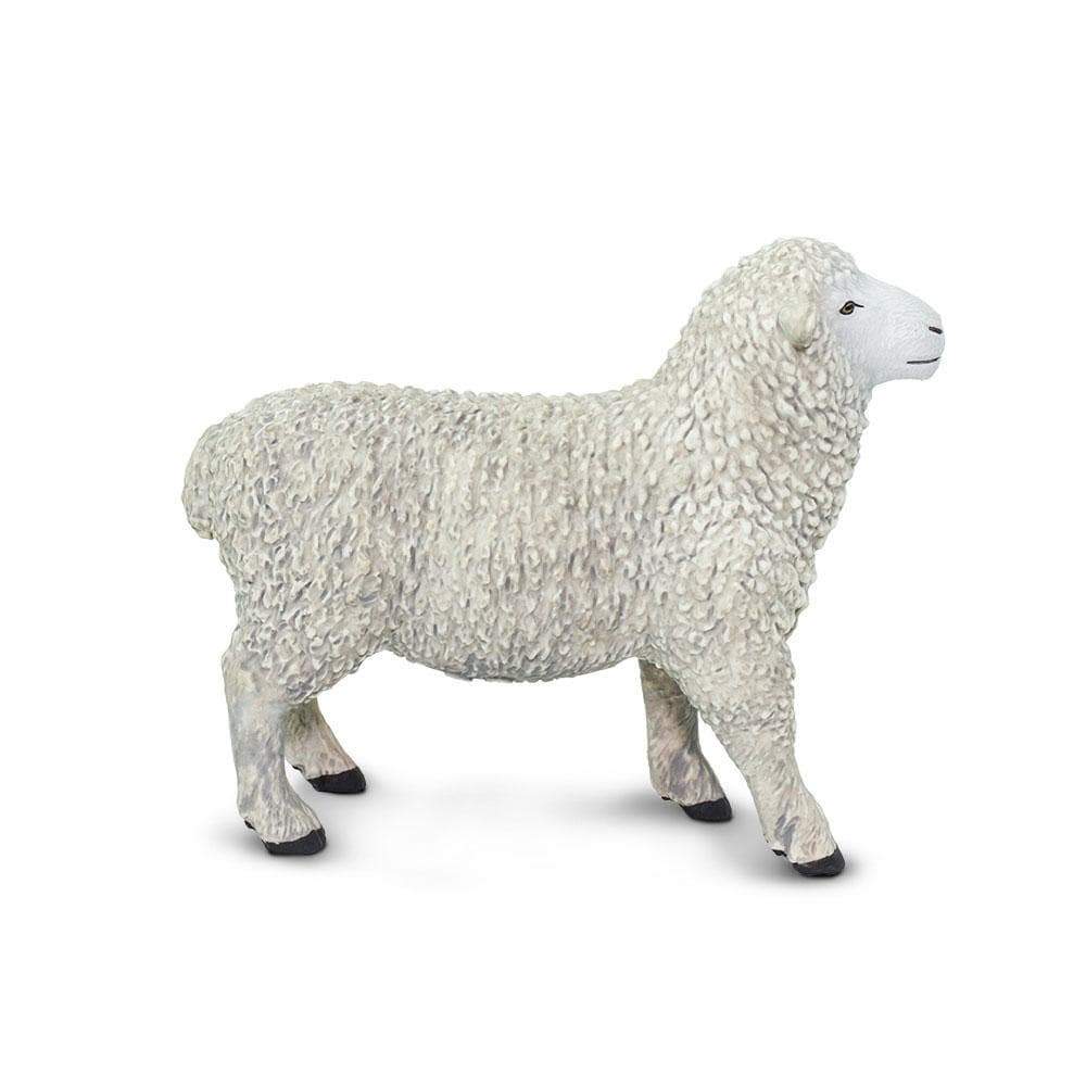 Sheep | Farm | Safari Ltd®