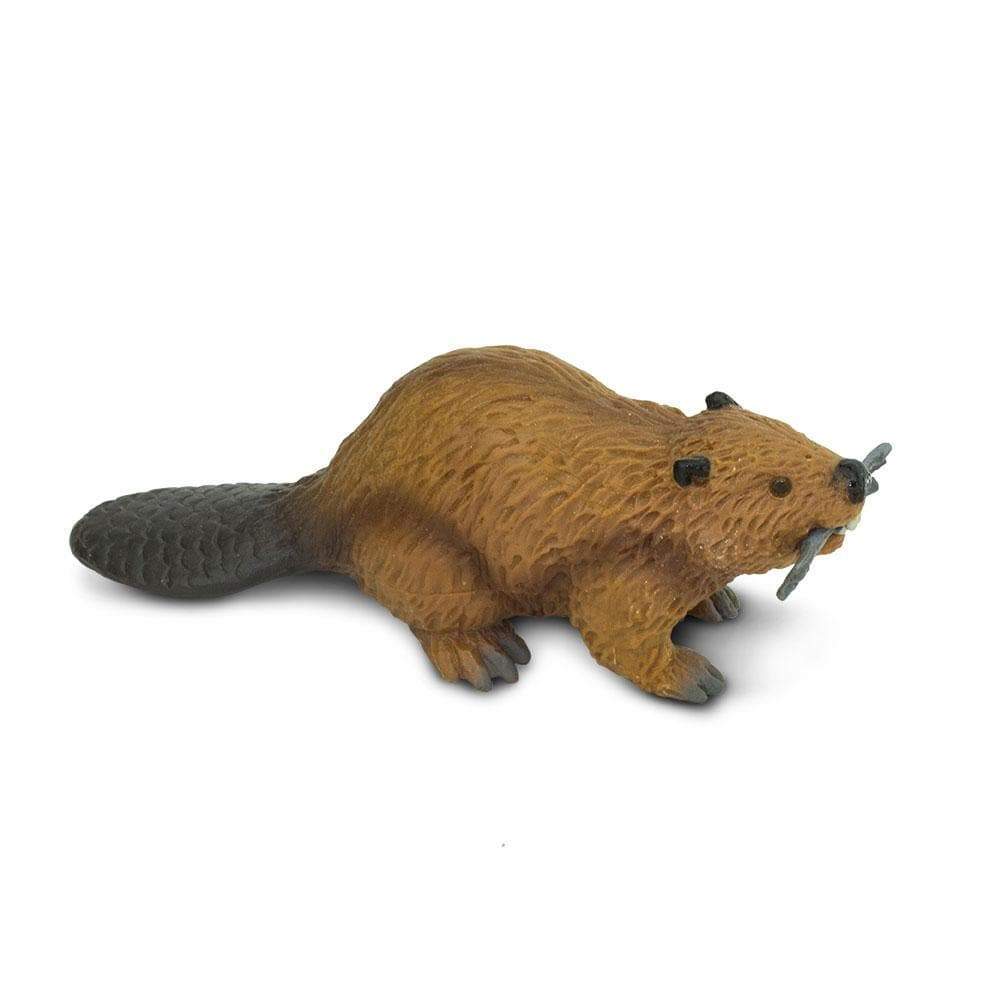 Beaver Toy | Wildlife Animal Toys | Safari Ltd®