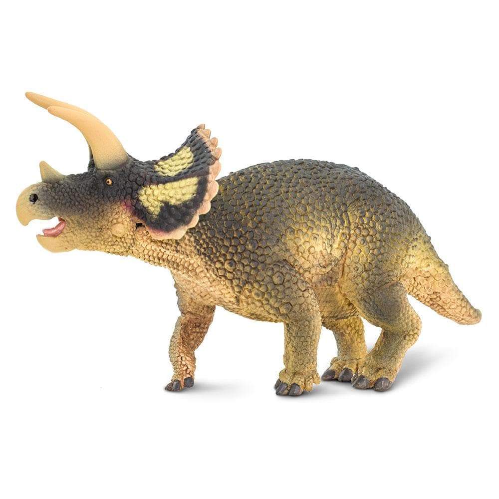 Triceratops Dinosaur Toy | Safari Ltd®