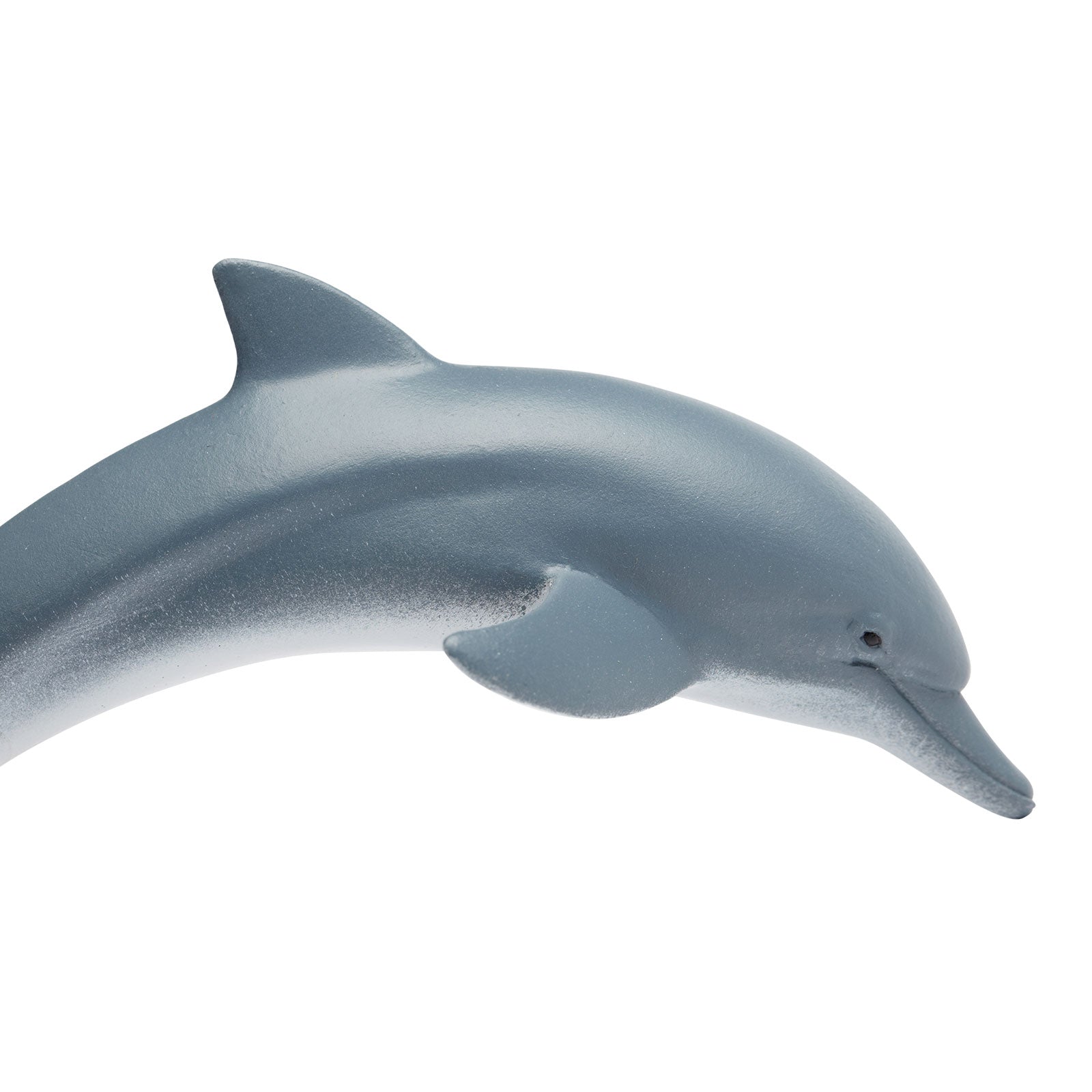 Dolphin Toy | Sea Life | Safari Ltd®