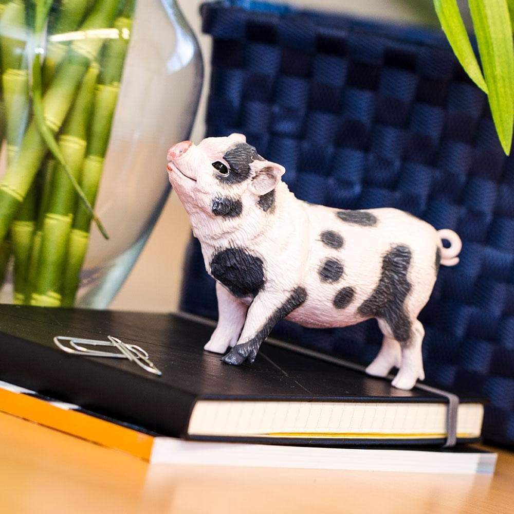 Pot Bellied Pig Figurine Safari Ltd®