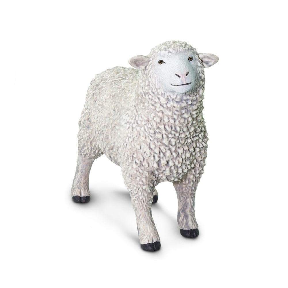Sheep | Farm | Safari Ltd®