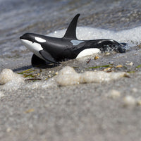 Orca Toy | Sea Life | Safari Ltd®