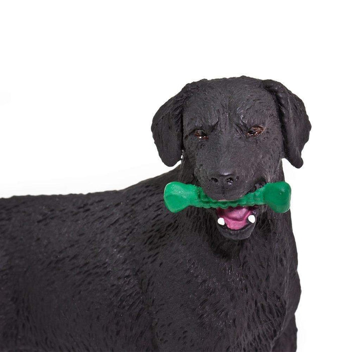 Black Labrador Toy | Farm | Safari Ltd®