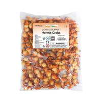 Hermit Crabs - 192 pcs - Good Luck Minis® | Good Luck Minis® | Safari Ltd®