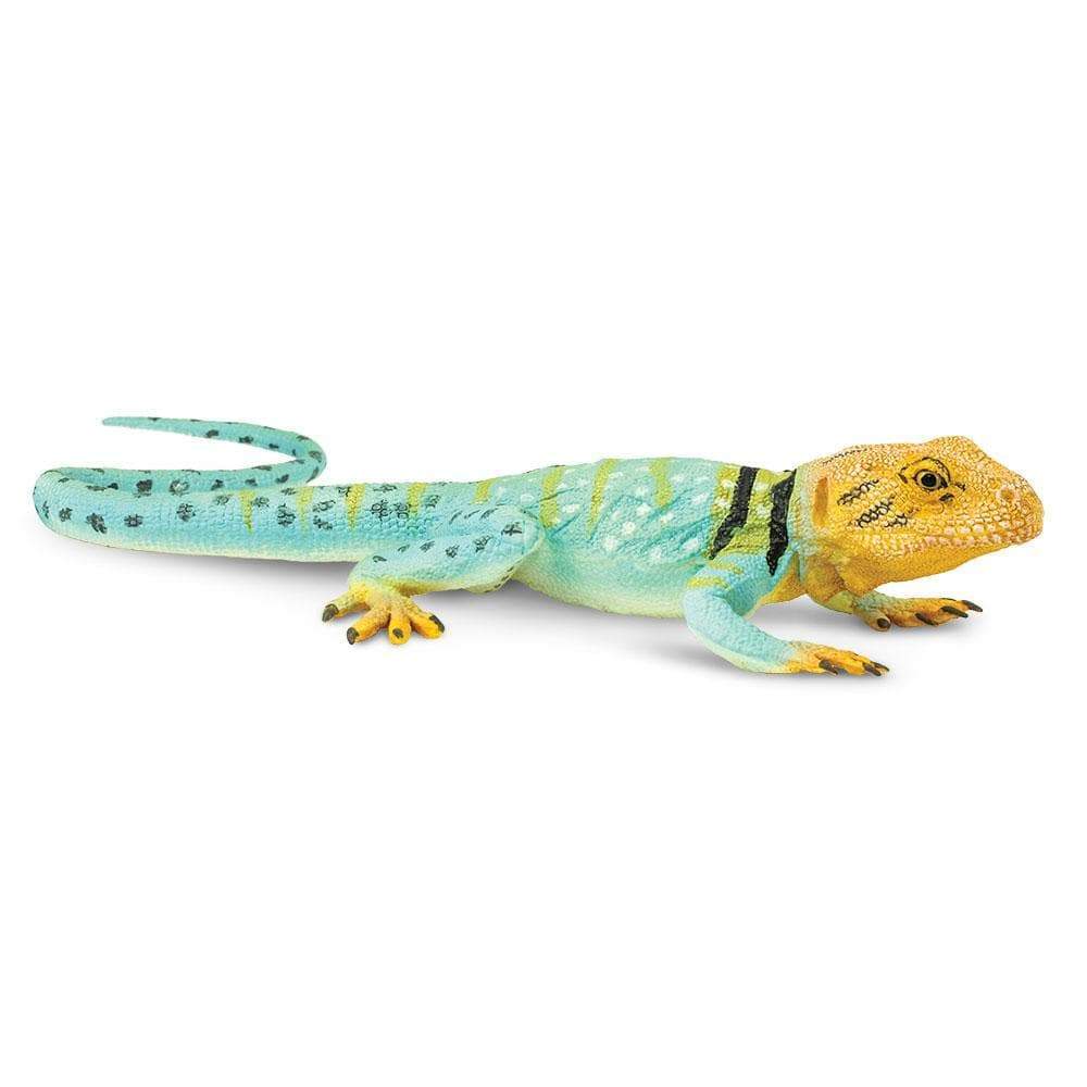 Collared Lizard Toy | Safari Ltd®