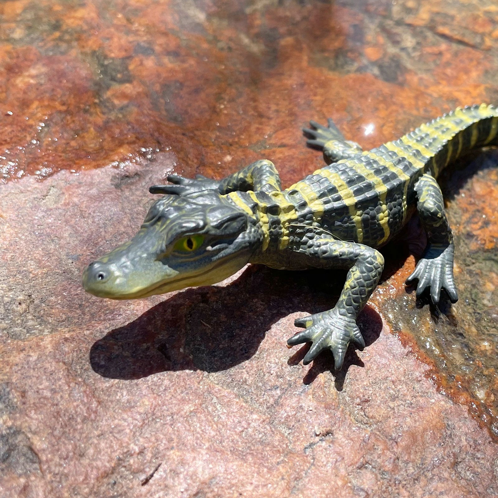 Baby Alligator Toy – Realistic Wildlife Figure by Safari Ltd Baby Alligator Toy – Realistic Wildlife Figure by Safari Ltd
