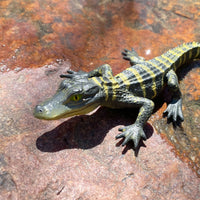 Alligator Baby Wildlife Toy Figure |  | Safari Ltd®