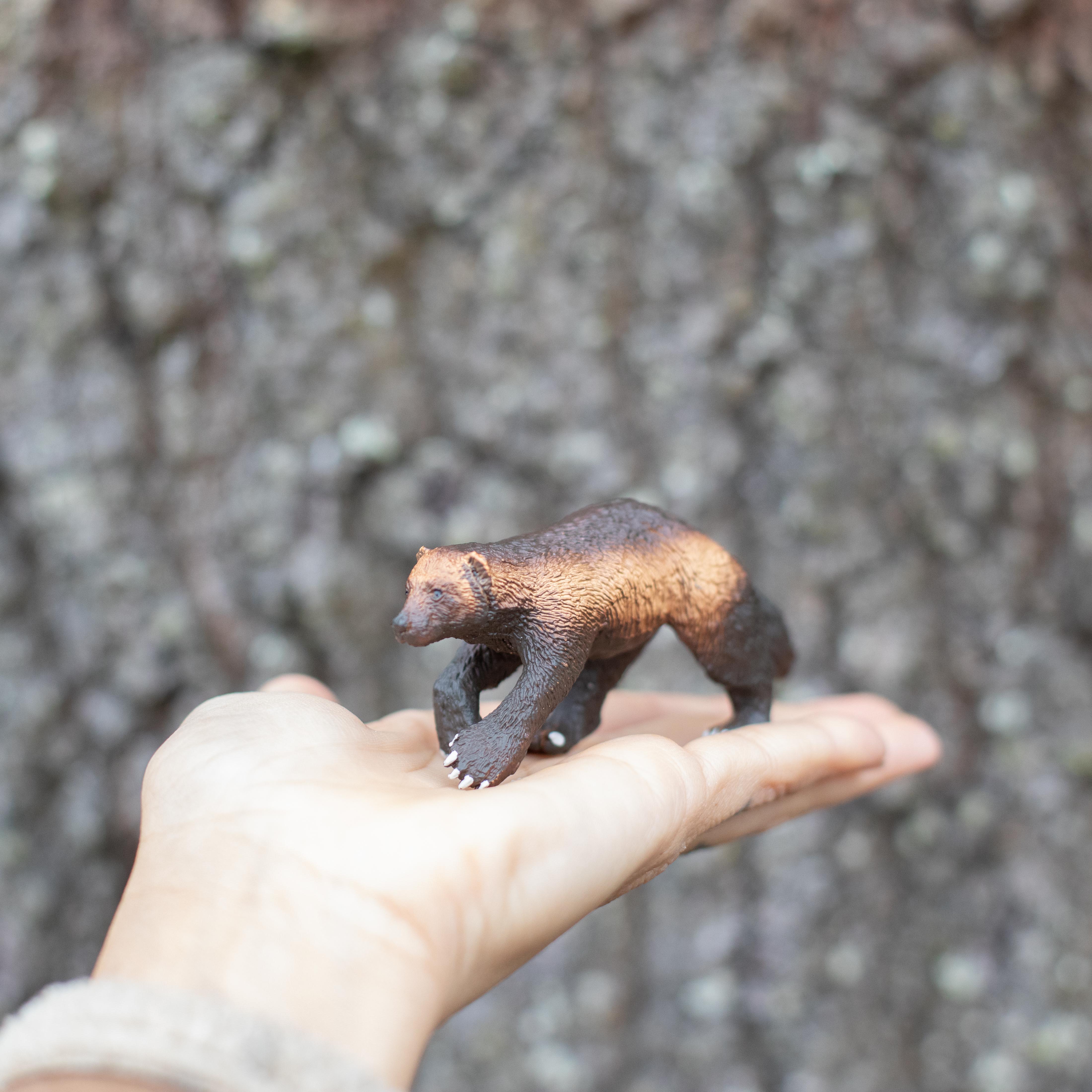 Wolverine Toy | Safari Ltd®