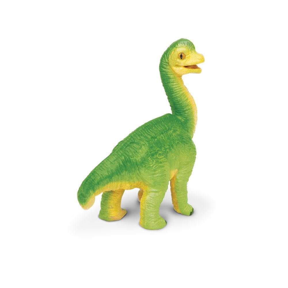 Brachiosaurus Baby Toy | Dinosaur Toys | Safari Ltd®