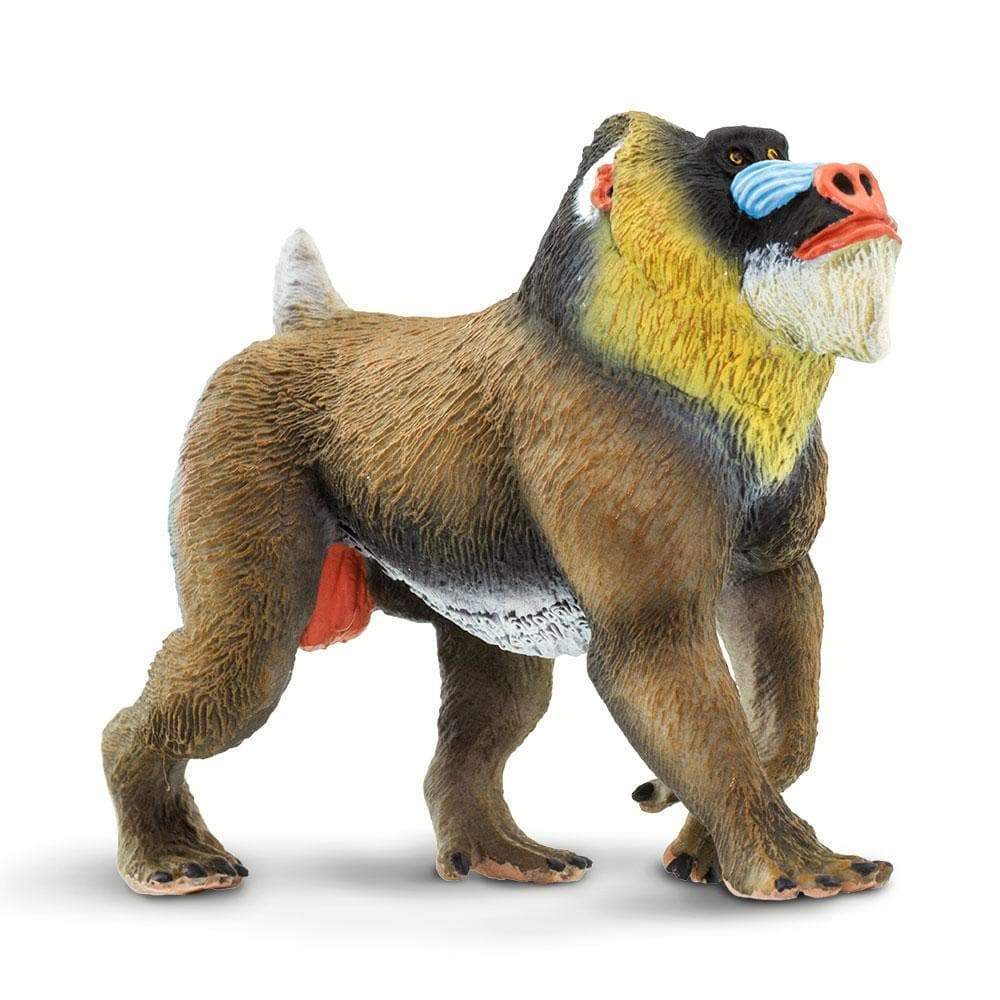 Mandrill Toy | Wildlife Animal Toys | Safari Ltd®