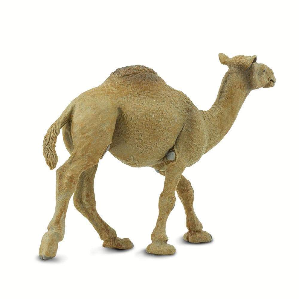 Dromedary Camel Toy | Wildlife Animal Toys | Safari Ltd®