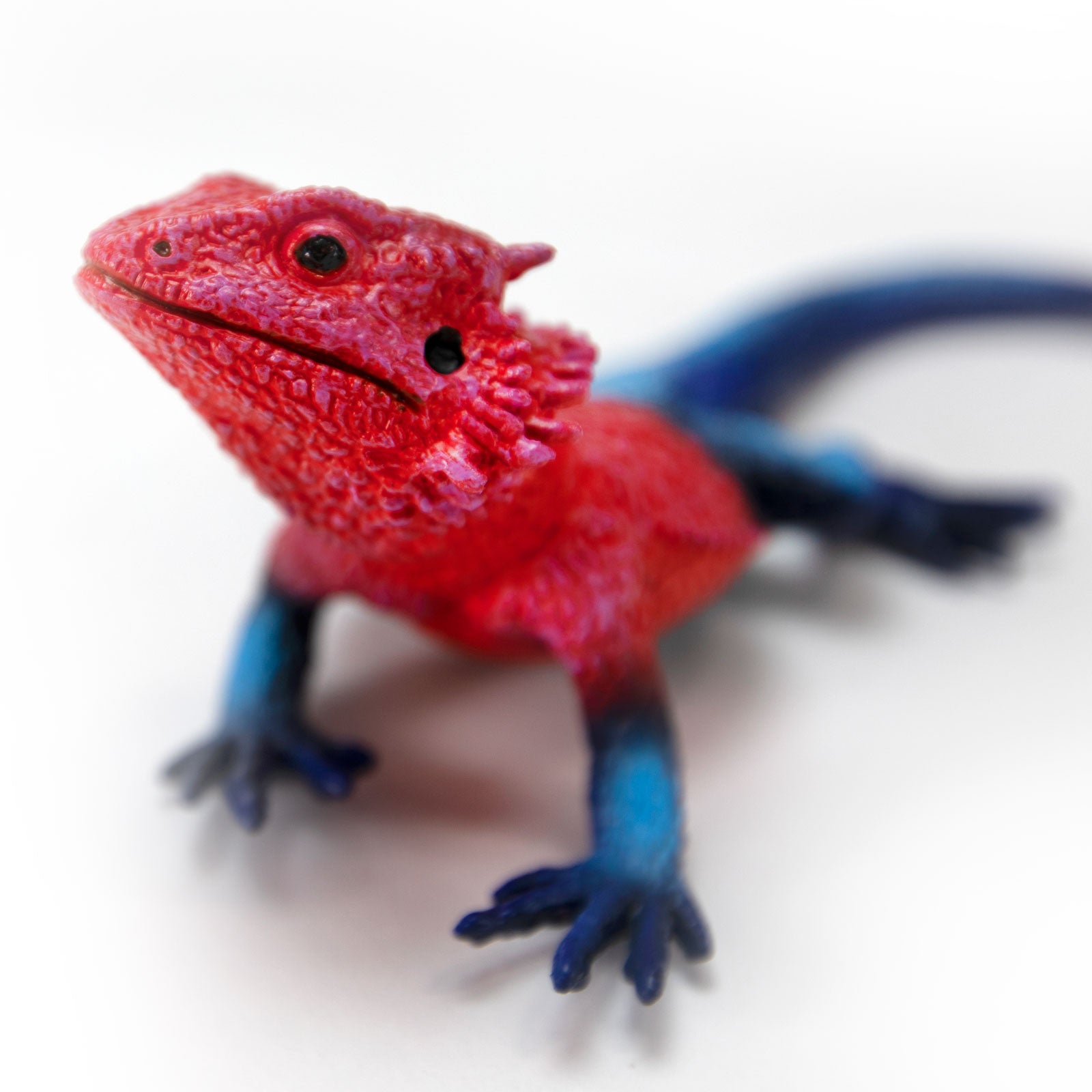 Mwanza Flat-Headed Rock Agama Toy | Safari Ltd®