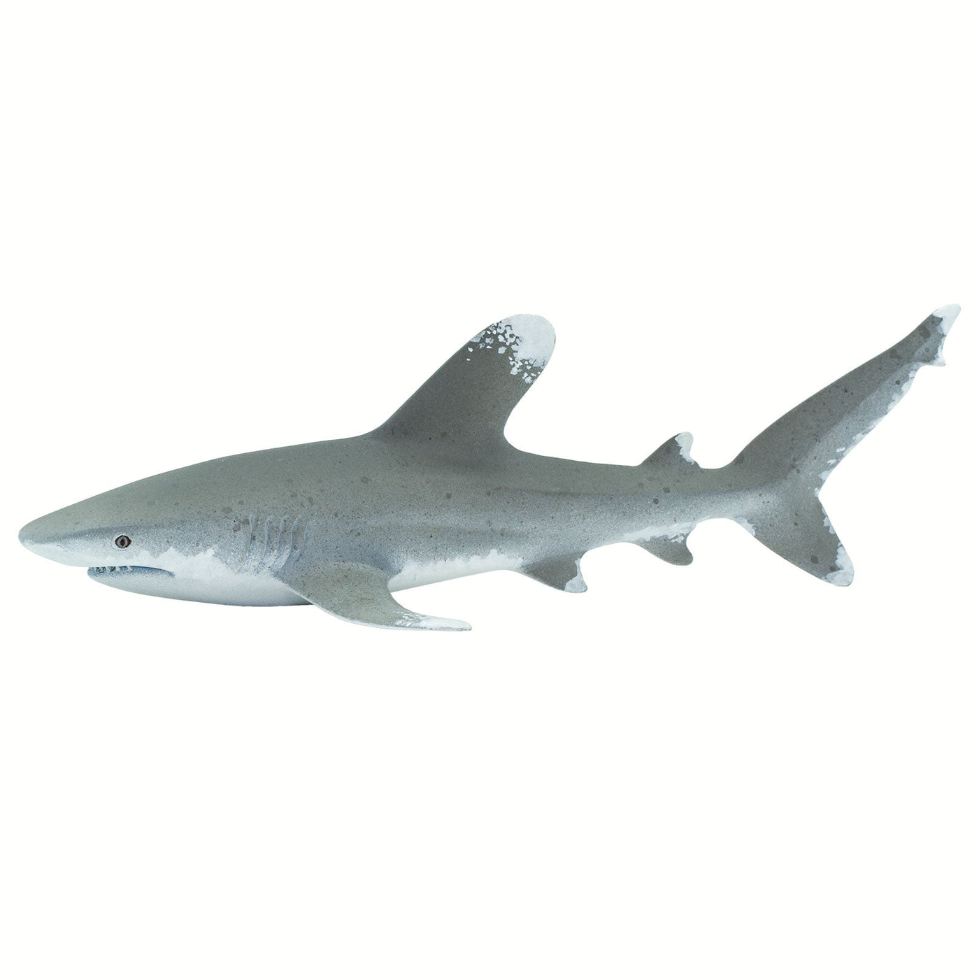 Oceanic Whitetip Shark Toy | Sea Life | Safari Ltd®