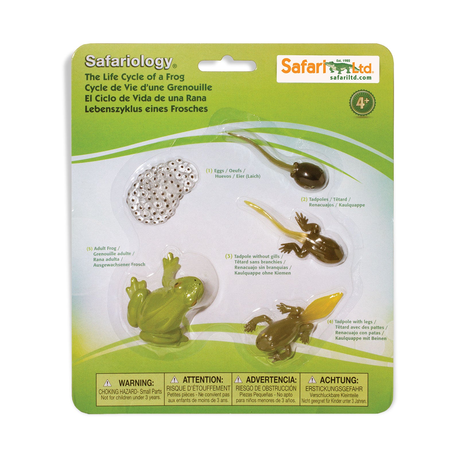 Life Cycle of a Frog Toy Set | Safari Ltd®