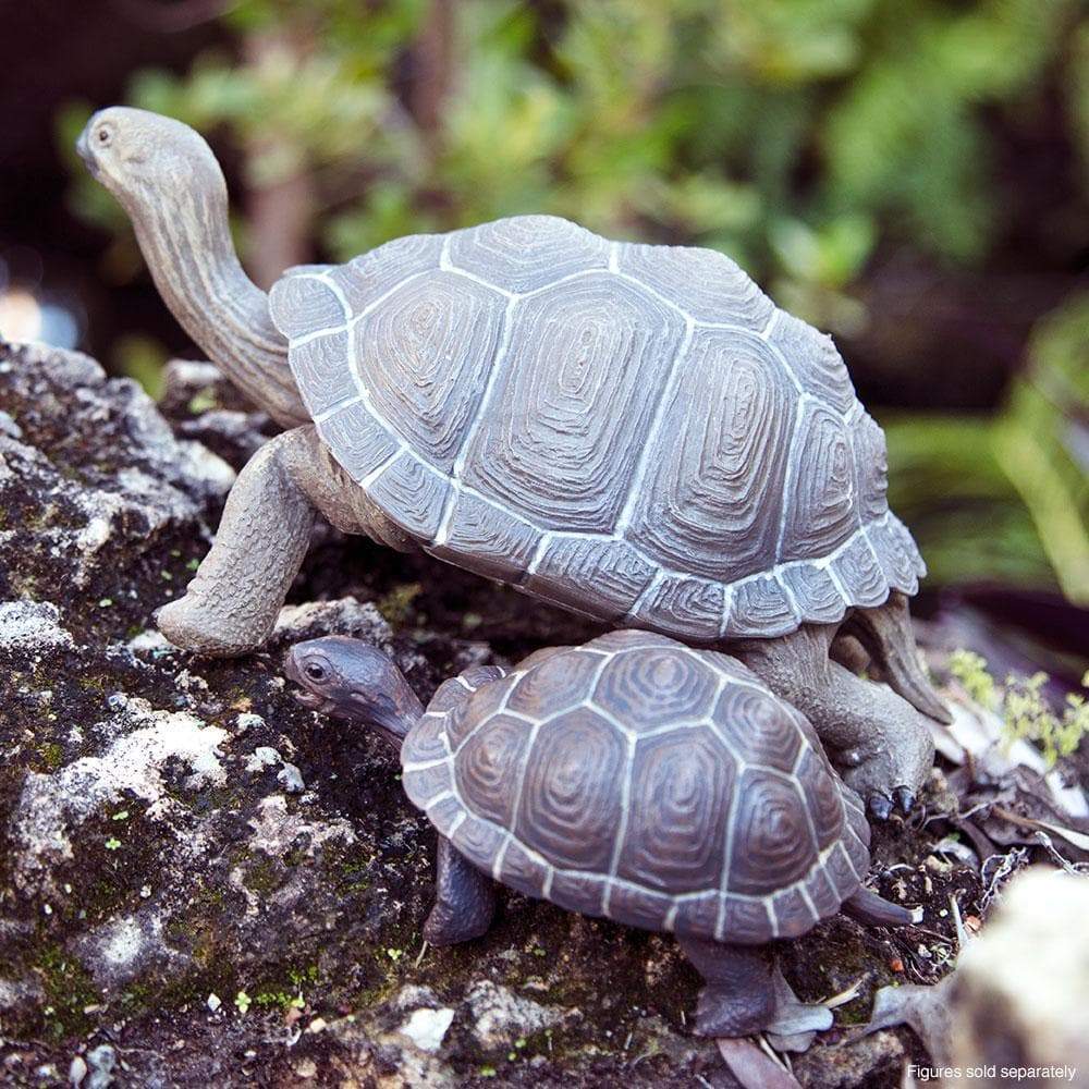 Tortoise Baby | Incredible Creatures | Safari Ltd®