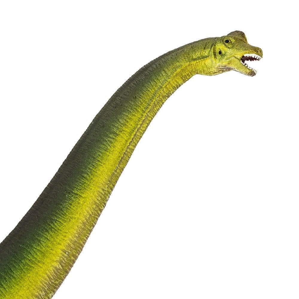 Brachiosaurus Toy | Dinosaur Toys | Safari Ltd®