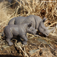 White Rhino Toy | Wildlife Animal Toys | Safari Ltd®