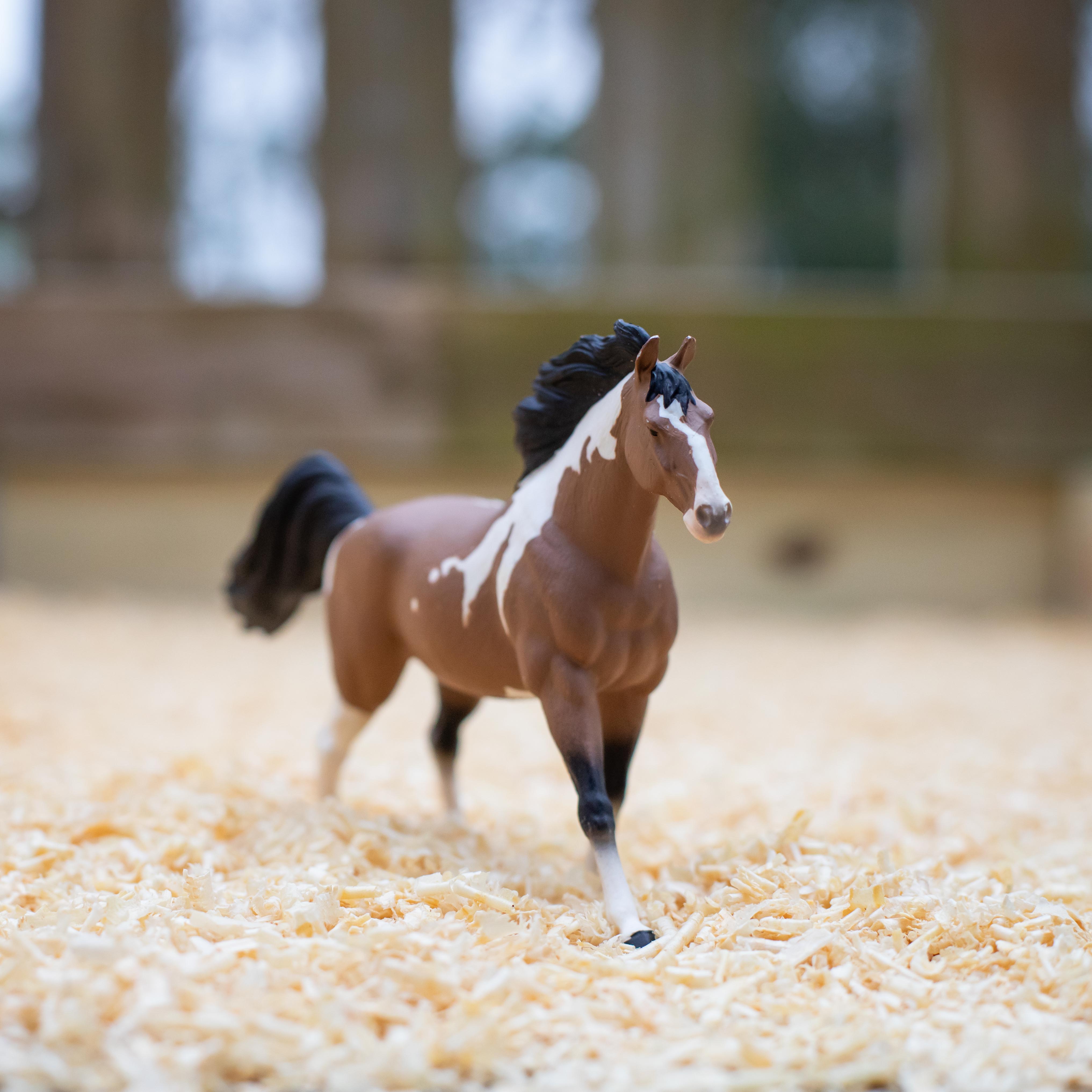 Safari Hengst Pinto Mustang – 18,4 Cm Pferdefigur, Ungiftig & BPA-frei, Bauernhof-Spielzeug Für Kinder Ab 3 Jahren