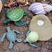 Life Cycle of a Green Sea Turtle | Safariology® | Safari Ltd®