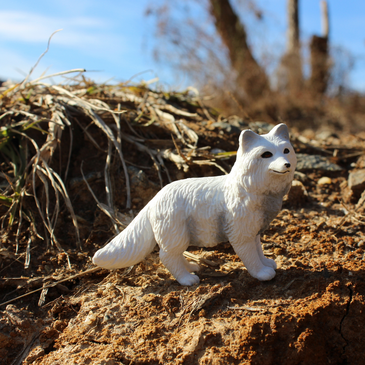 Arctic Fox Figurine | Safari Ltd® Arctic Fox Figurine | Safari Ltd®