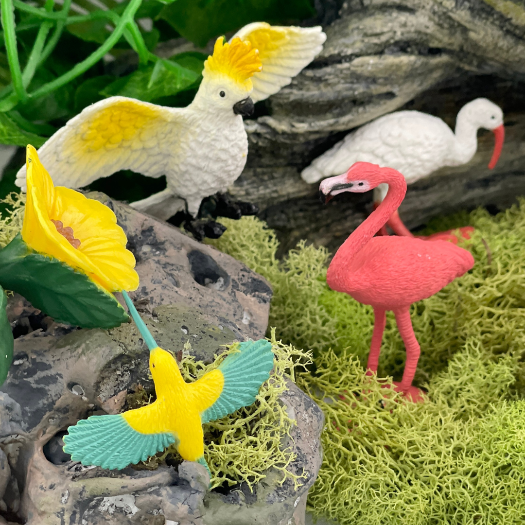 Exotic Birds TOOB® Figurines | Safari Ltd® Bird Toy Set | Safari Ltd®