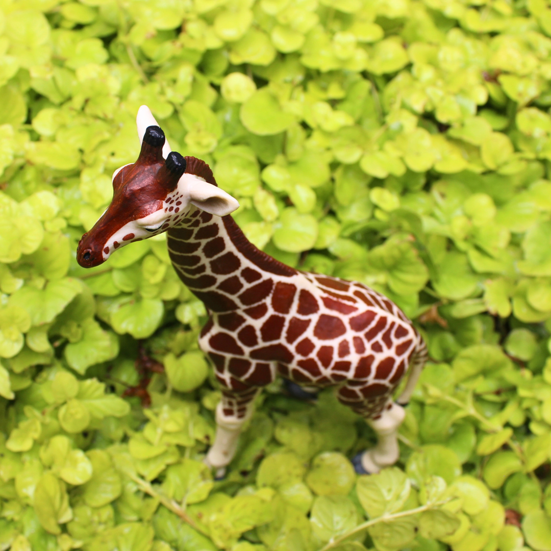 Safari Giraffen-Figur 12,4 Cm – Realistisches Zootier Für Kinder Ab 3 Jahren, Ungiftig & BPA-frei