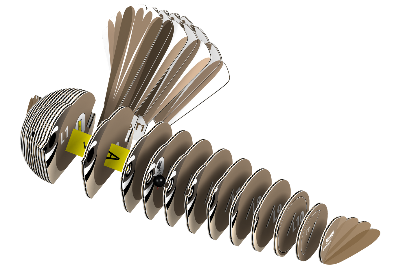 EUGY Fantail 3D Puzzle | Eugy | Safari Ltd®