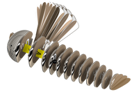 EUGY Fantail 3D Puzzle | Eugy | Safari Ltd®