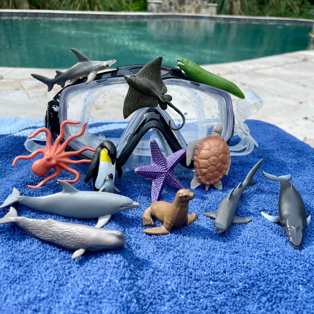 Ocean TOOBยฎ Safari Ltdยฎ