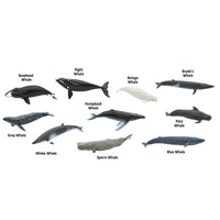 Whales TOOB® | TOOBS® - Mini Toys | Safari Ltd®