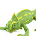 Veiled Chameleon Baby Toy | Incredible Creatures | Safari Ltd®