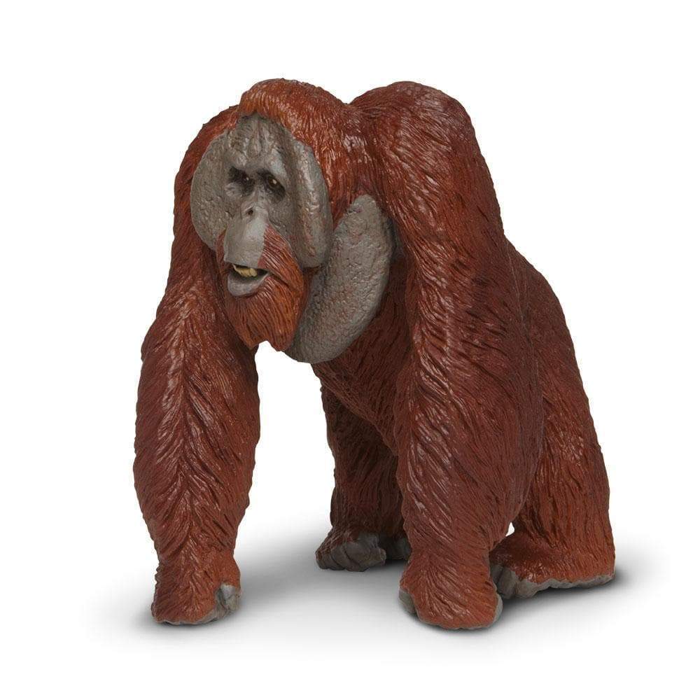 Bornean Orangutan Toy | Wildlife Animal Toys | Safari Ltd®