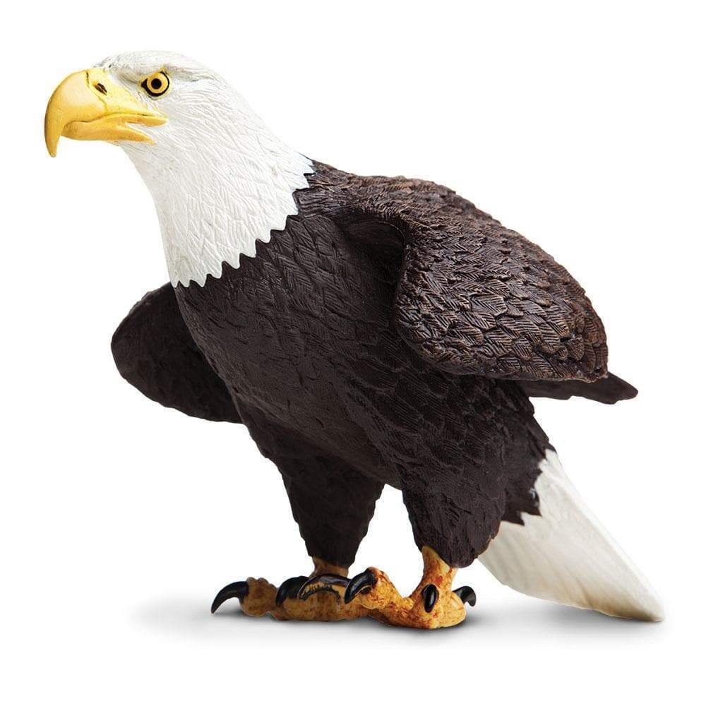 Bald Eagle Figure – Realistic Bird Toy for Kids, Boys and Girls