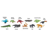 Rainforest TOOB® | TOOBS® - Mini Toys | Safari Ltd®