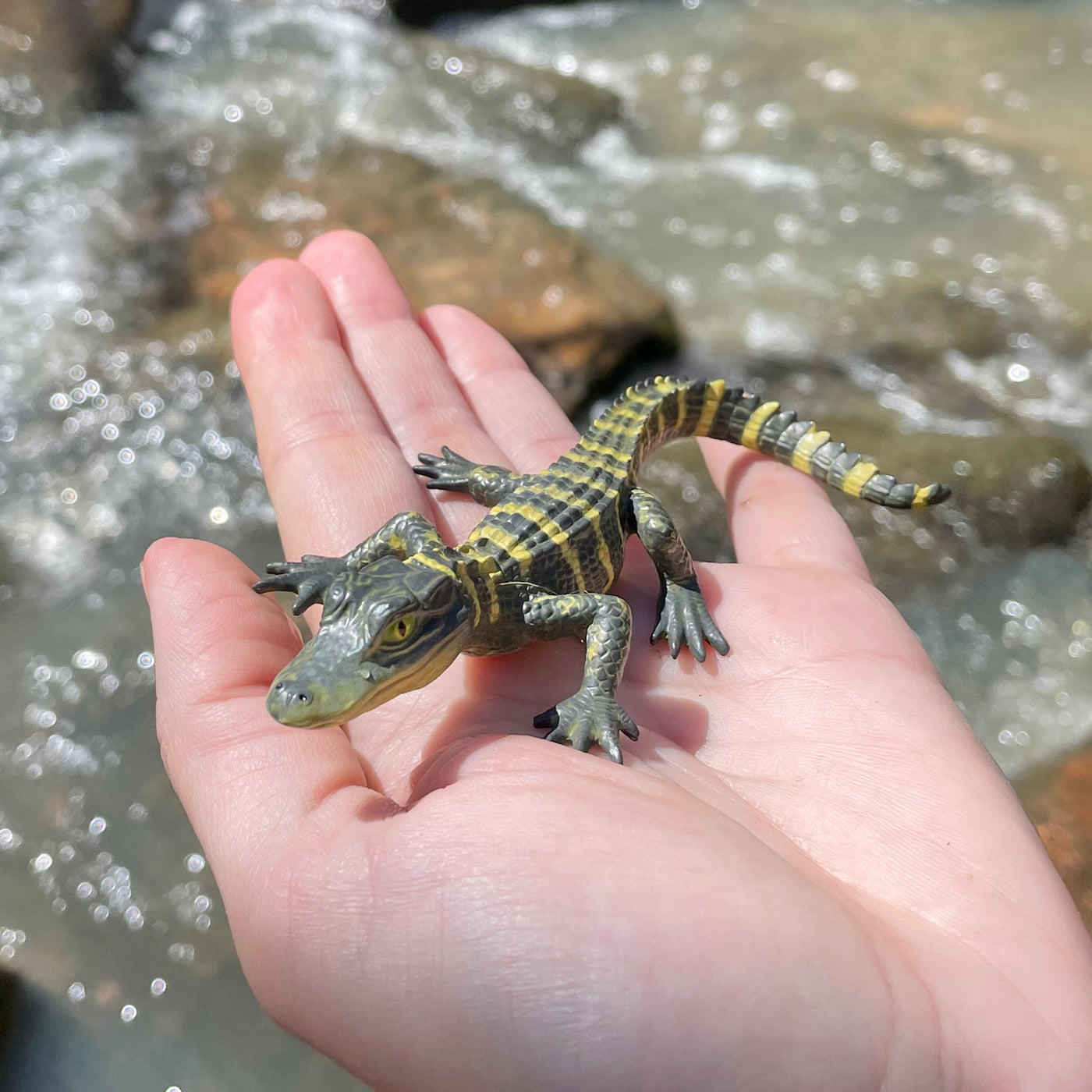 Alligator Baby Wildlife Toy Figure |  | Safari Ltd®