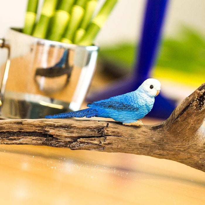 Parakeet blue deals