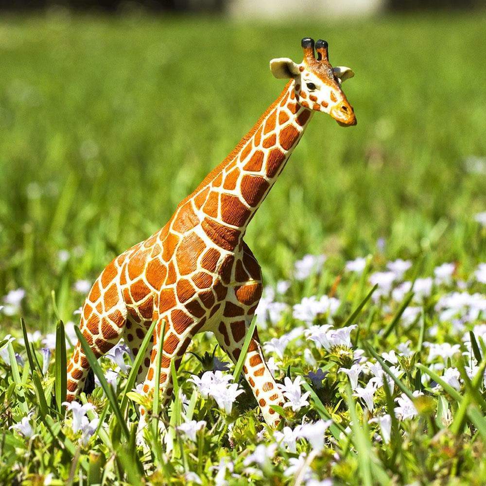 Reticulated Giraffe Toy | Wildlife Animal Toys | Safari Ltd®