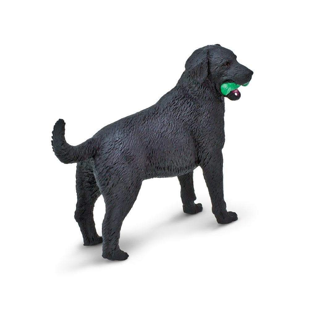 Black Labrador Toy | Safari Ltd®