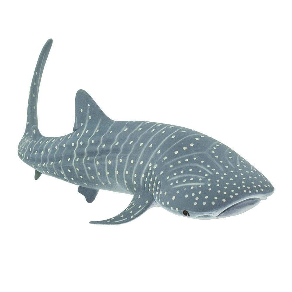 Whale Shark Toy | Sea Life | Safari Ltd®