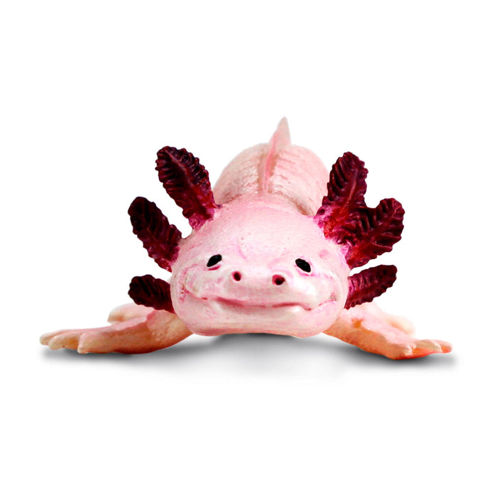 Axolotl Toy Figure | Incredible Creatures | Safari Ltd®