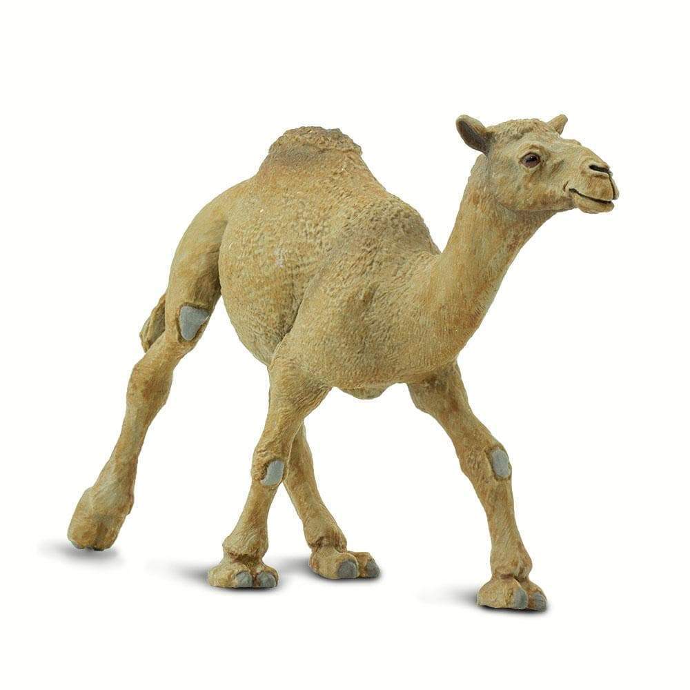 Dromedary Camel Toy | Wildlife Animal Toys | Safari Ltd®