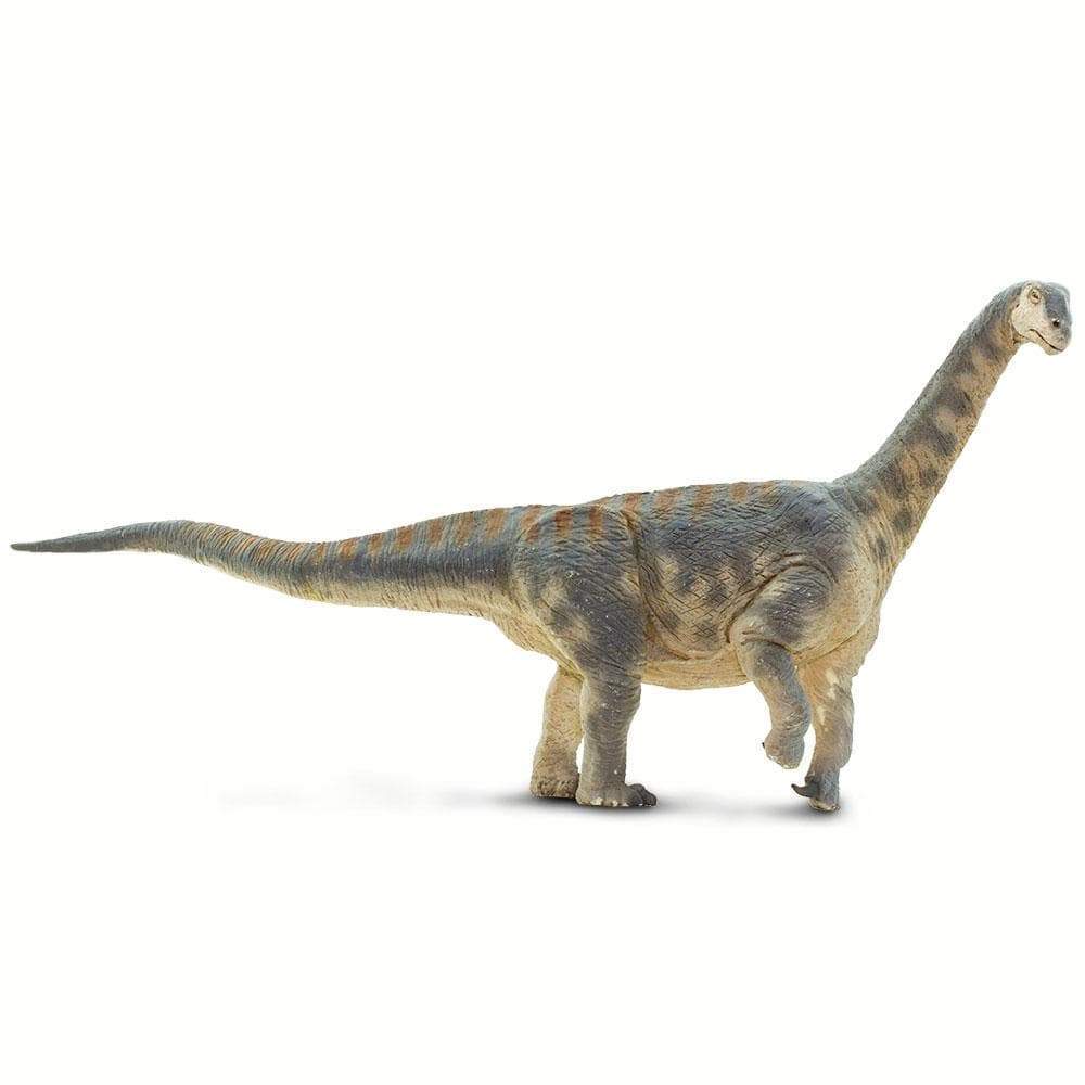 Camarasaurus Toy | Dinosaur Toys | Safari Ltd®
