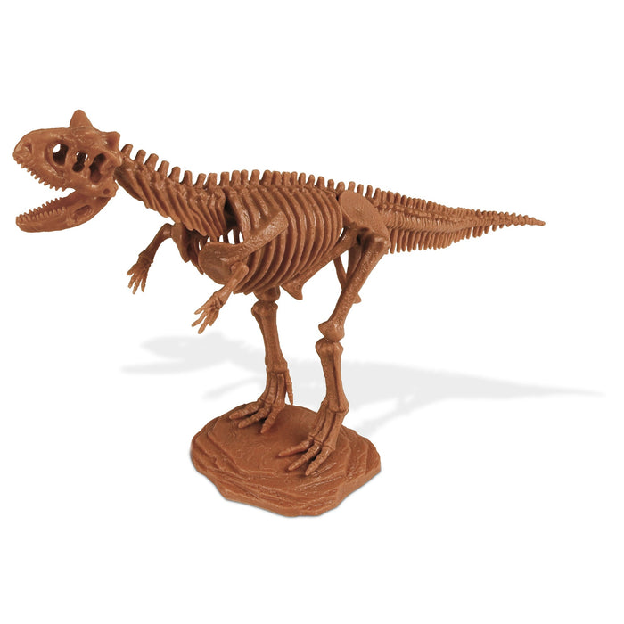 Dr. Steve Hunters GEOWorld Dino Dig Carnotaurus Excavation Kit - 14 pieces |  | Safari Ltd®