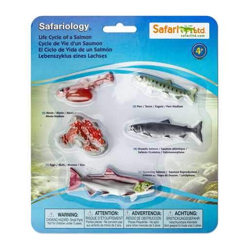 Life Cycle of a Salmon - Safari Ltd®