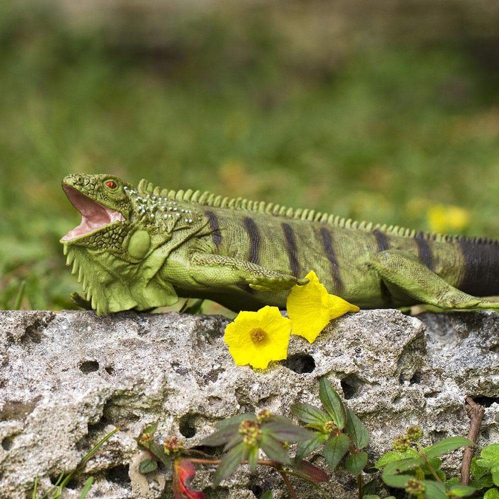 GANZ Webkinz Iguana // New With Sealed Code - Etsy Canada